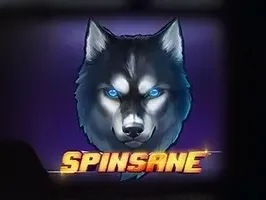 Spinsane DNT game icon